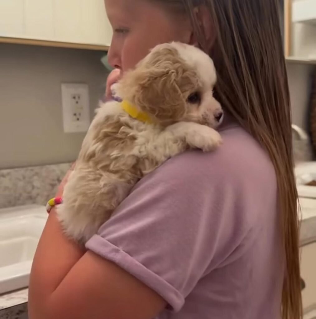 happy customers of valentina poodle