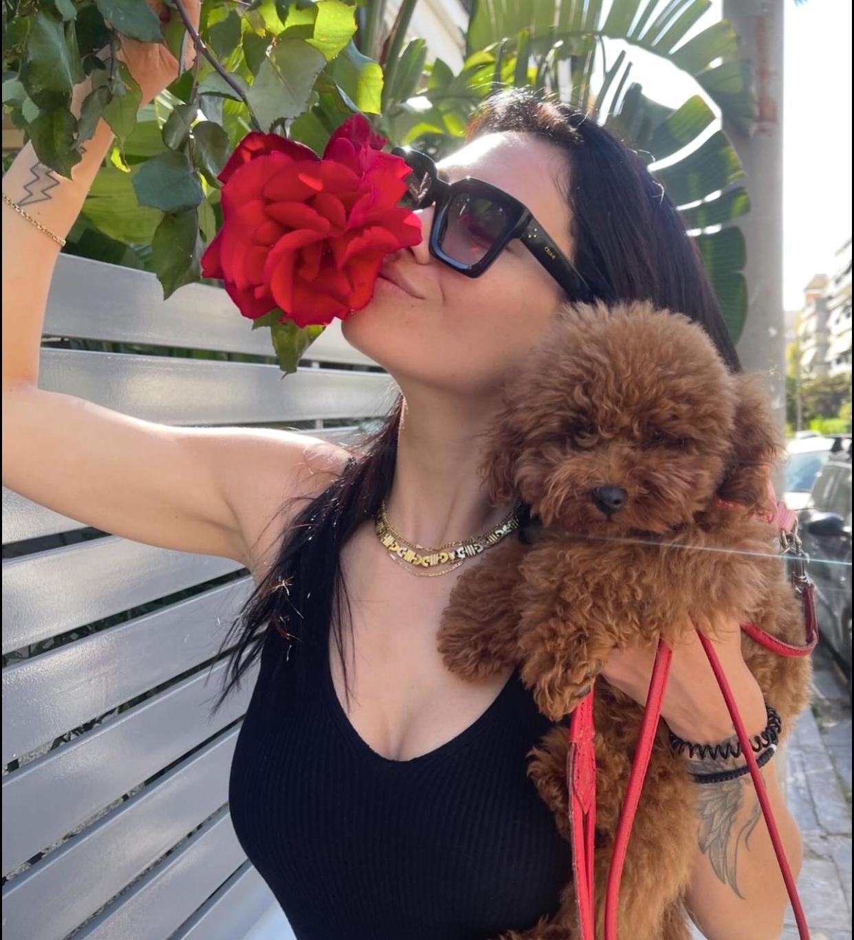 Reputable Poodle Breeders Near Me