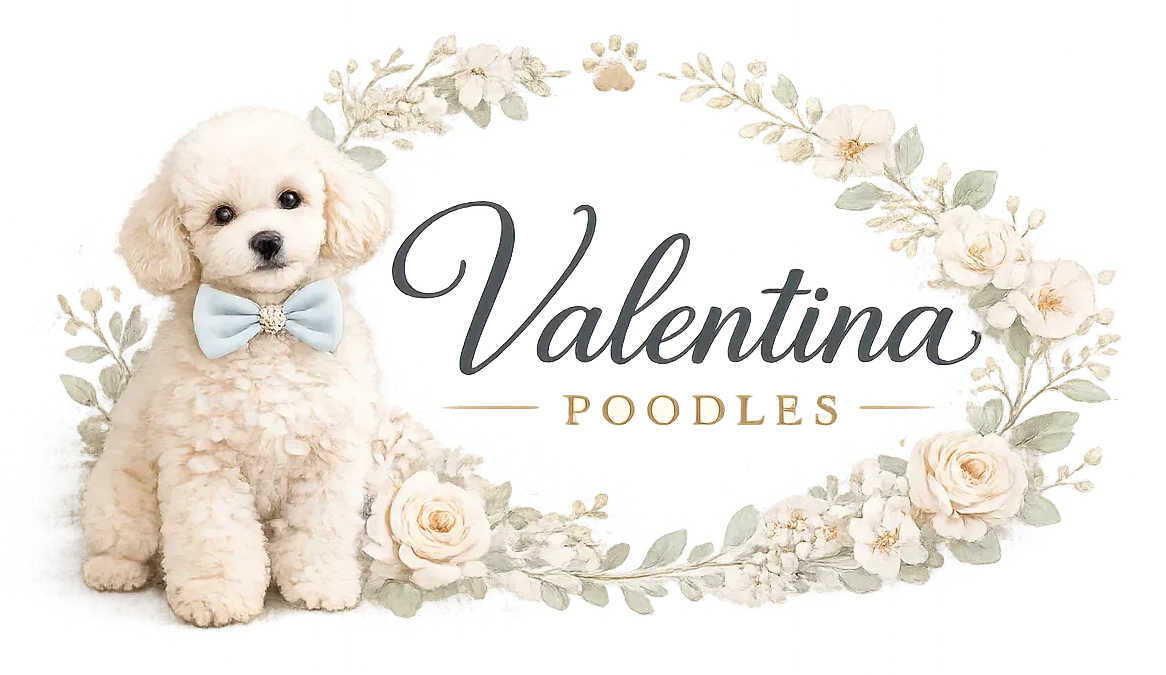Valentina Poodles